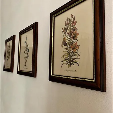 Ferienhaus Le Petunie