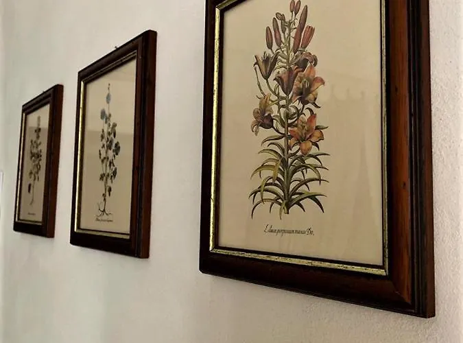 Prázdninový dům Le Petunie